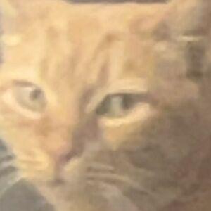 Meet your Posher, Noah